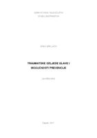 Traumatske ozljede glave i mogućnosti prevencije