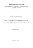 Procjena potreba djece s invaliditetom i njihovih obitelji na području grada Siska