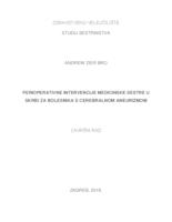 Perioperativne intervencije medicinske sestre u skrbi za bolesnika s cerebralnom aneurizmom