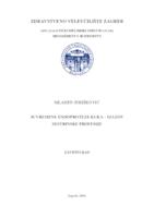 Suvremene endoproteze kuka - izazov sestrinske profesije