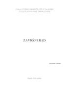 Razlika u pojavnosti ranih komplikacija perkutanog zračenja raka vrata maternice između 2D i 3D planiranih pacijentica