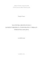 Magnetska rezonancija i kompjutorizirana tomografija u prikazu struktura koljena