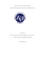 prikaz prve stranice dokumenta Proces zdravstvene skrbi kod pacijenta s oštećenjem integriteta kože